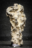 22152 - Nice Collection of 5 Fulgurites ("Petrified lightning") Collected in Algeria