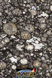 08851 - Top Rare Polished Thin Section NWA Carbonaceous Chondrite CV3 Type 5.317g