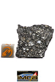 08851 - Top Rare Polished Thin Section NWA Carbonaceous Chondrite CV3 Type 5.317g