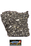 08851 - Top Rare Polished Thin Section NWA Carbonaceous Chondrite CV3 Type 5.317g