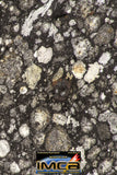 08852 - Top Rare Polished Thin Section NWA Carbonaceous Chondrite CV3 Type 5.403g