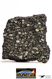 08853 - Top Rare Polished Thin Section NWA Carbonaceous Chondrite CV3 Type - 7.482 g