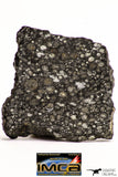 08853 - Top Rare Polished Thin Section NWA Carbonaceous Chondrite CV3 Type - 7.482 g