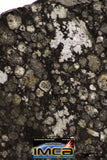 08854 - Top Rare Polished Thin Section NWA Carbonaceous Chondrite CV3 Type - 6.034 g
