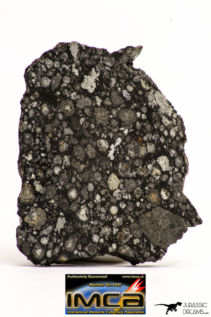 08856 - Top Rare Polished Thin Section NWA Carbonaceous Chondrite CV3 Type - 2.891 g