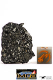 08856 - Top Rare Polished Thin Section NWA Carbonaceous Chondrite CV3 Type - 2.891 g
