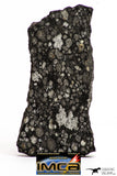 08858 - Top Rare Polished Thin Section NWA Carbonaceous Chondrite CV3 Type - 3.688 g