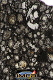 08858 - Top Rare Polished Thin Section NWA Carbonaceous Chondrite CV3 Type - 3.688 g