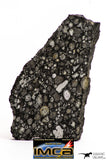 08859 - Top Rare Polished Thin Section NWA Carbonaceous Chondrite CV3 Type - 2.936 g