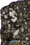 08860 - Top Rare Polished Thin Section NWA Carbonaceous Chondrite CV3 Type - 3.693 g