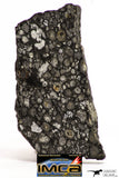 08860 - Top Rare Polished Thin Section NWA Carbonaceous Chondrite CV3 Type - 3.693 g