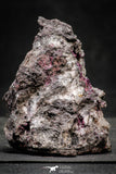 22192 - Beautiful 3.10 Inch Roselite from Bou Azzer Mines - South Morocco