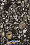 08862 - Top Rare Polished Thin Section NWA Carbonaceous Chondrite CV3 Type - 3.483 g