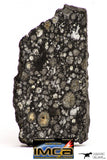 08862 - Top Rare Polished Thin Section NWA Carbonaceous Chondrite CV3 Type - 3.483 g