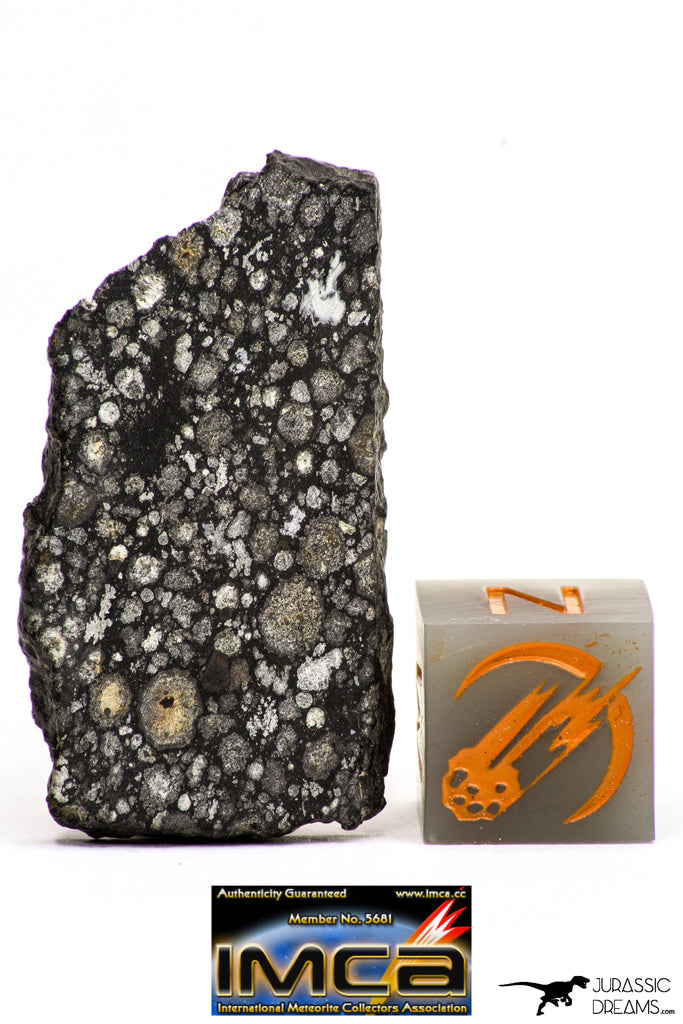 08862 - Top Rare Polished Thin Section NWA Carbonaceous Chondrite CV3 Type - 3.483 g