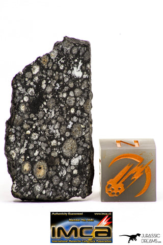 08862 - Top Rare Polished Thin Section NWA Carbonaceous Chondrite CV3 Type - 3.483 g