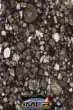08862 - Top Rare Polished Thin Section NWA Carbonaceous Chondrite CV3 Type - 3.483 g