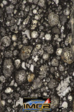 08863 - Top Rare Polished Thin Section NWA Carbonaceous Chondrite CV3 Type - 3.359 g