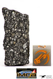 08863 - Top Rare Polished Thin Section NWA Carbonaceous Chondrite CV3 Type - 3.359 g
