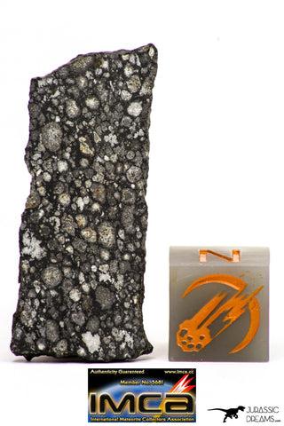 08865 - Top Rare Polished Thin Section NWA Carbonaceous Chondrite CV3 Type - 2.584 g