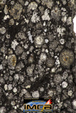 08865 - Top Rare Polished Thin Section NWA Carbonaceous Chondrite CV3 Type - 2.584 g