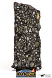 08865 - Top Rare Polished Thin Section NWA Carbonaceous Chondrite CV3 Type - 2.584 g