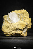 22196 - Calcite Geode with Gypsum Crystal 680 g in Natural Matrix