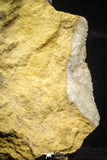 22196 - Calcite Geode with Gypsum Crystal 680 g in Natural Matrix