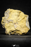 22196 - Calcite Geode with Gypsum Crystal 680 g in Natural Matrix