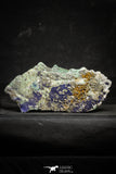 22197 - Azurite Crystals + Quartz Crystals + Barite Crystals in Natural Matrix