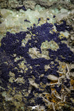 22197 - Azurite Crystals + Quartz Crystals + Barite Crystals in Natural Matrix
