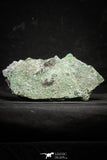 22197 - Azurite Crystals + Quartz Crystals + Barite Crystals in Natural Matrix