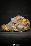 22205 - Top Pale Blue Fluorite Crystals on Matrix Hameda Fluorite Mine South Morocco
