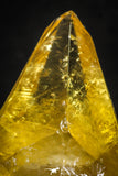 22209 - Top Beautiful 3.56 Inch Calcite Crystal from South Morocco - New Location
