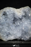 22211 - Superb Celestine Geode Madagascar - 530 g