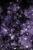 22213 - Beautiful Purple Natural Amethyst Geode Minas Gerais District - Brazil