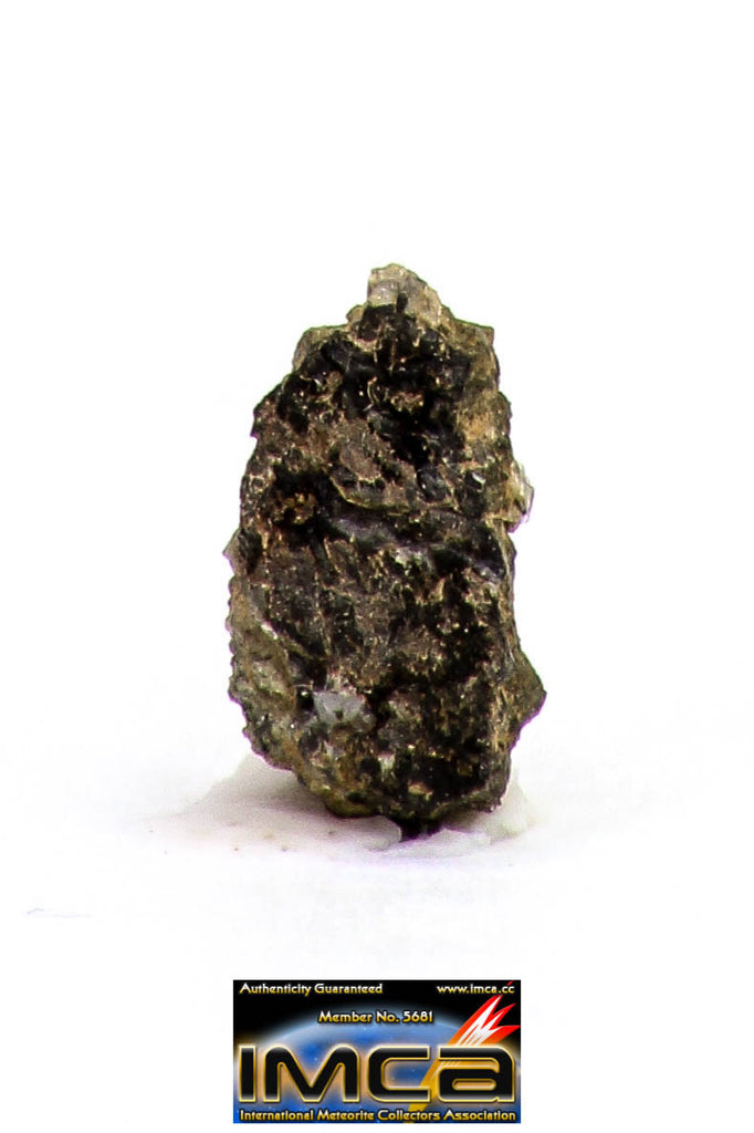 08888 - MARTIAN NWA 6963 Shergottite Meteorite 0.089 g Thin Section with Fusion Crust