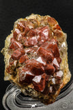 07802 - Top Beautiful 3.42 Inch Natural Quartz Crystals (hematoide variety) Jbel Saghro Mines