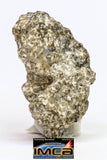 08893 - Fragment 3.673g NWA Monomict Eucrite Achondrite with Fresh Fusion Crust Meteorite