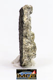 08894 - Fragment 1.739g NWA Monomict Eucrite Achondrite with Fresh Fusion Crust Meteorite
