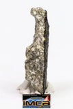 08894 - Fragment 1.739g NWA Monomict Eucrite Achondrite with Fresh Fusion Crust Meteorite
