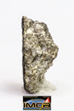 08896 - Fragment 1.924 g NWA Monomict Eucrite Achondrite with Fresh Fusion Crust Meteorite