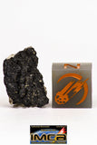 08897 - Fragment 1.519 g NWA Monomict Eucrite Achondrite with Fresh Fusion Crust Meteorite