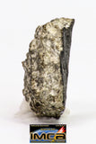 08897 - Fragment 1.519 g NWA Monomict Eucrite Achondrite with Fresh Fusion Crust Meteorite