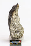 08898 - Fragment 1.832 g NWA Monomict Eucrite Achondrite with Fresh Fusion Crust Meteorite