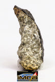 08898 - Fragment 1.832 g NWA Monomict Eucrite Achondrite with Fresh Fusion Crust Meteorite