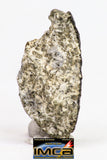 08899 - Fragment 1.627 g NWA Monomict Eucrite Achondrite with Fresh Fusion Crust Meteorite