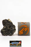 08900 - Fragment 1.443 g NWA Monomict Eucrite Achondrite with Fresh Fusion Crust Meteorite