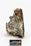 08900 - Fragment 1.443 g NWA Monomict Eucrite Achondrite with Fresh Fusion Crust Meteorite