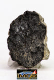 08902 - Fragment 1.496 g NWA Monomict Eucrite Achondrite with Fresh Fusion Crust Meteorite